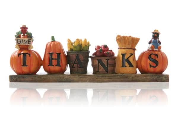 5 Reasons To Be Thankful for Pest Control