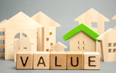Pests and Your Home’s Value