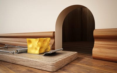 10 Common Myths About Pest Control