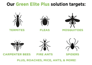 Green Elite Plus Includes