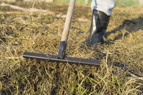 Turning A Yellow Lawn Green
