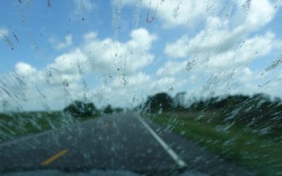 Protect Your Vehicle From Lovebugs