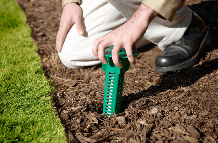 4 Types of Termite Control