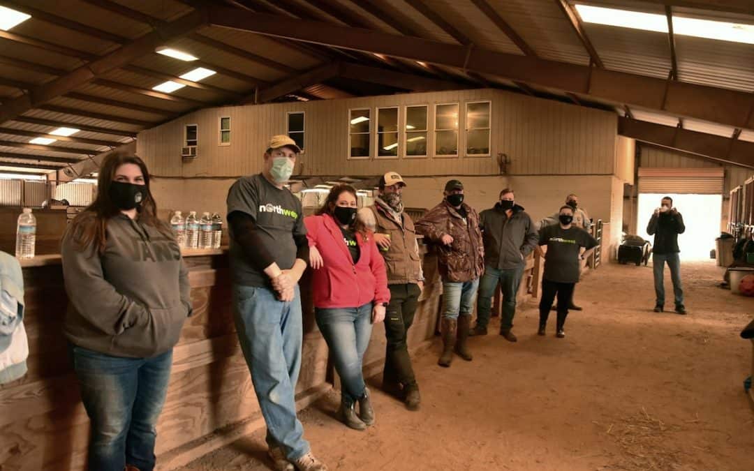 Northwest Canton Team Supports B.E.A.T.S. Horse Farm