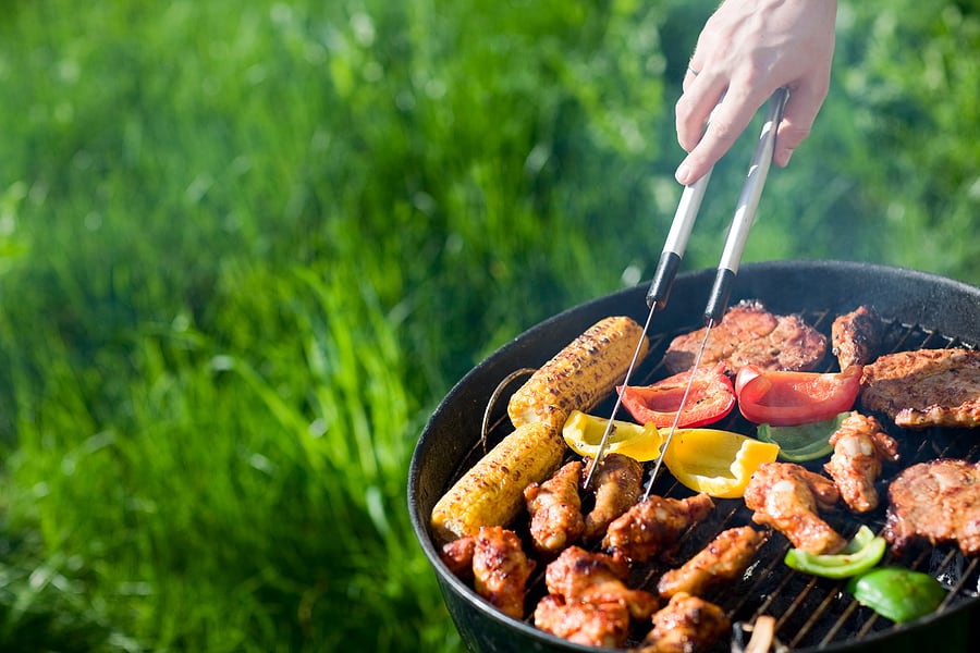 Have a Pest-Free BBQ!