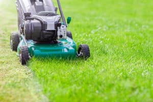 Summer lawn care