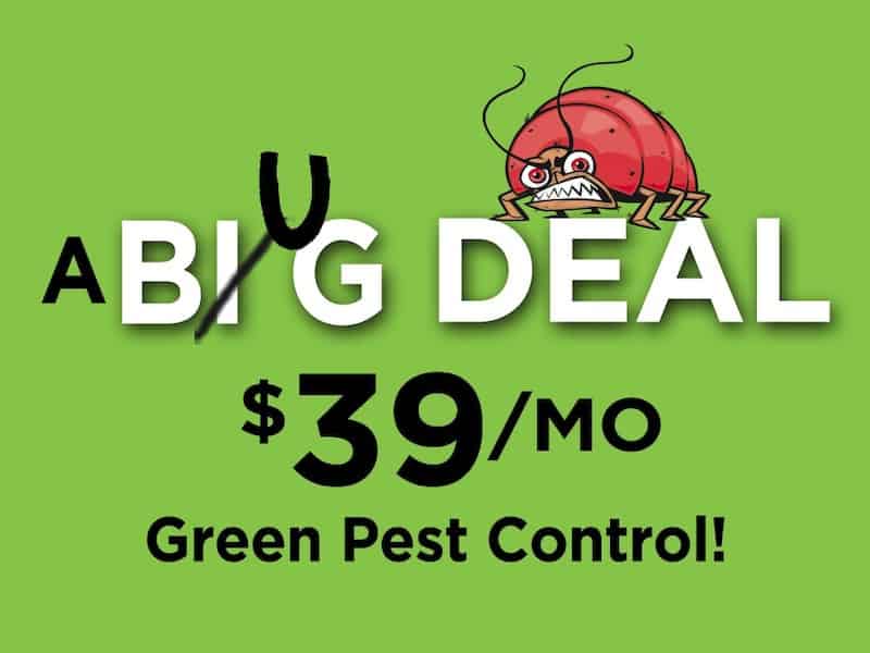 Green Pest Control Discount