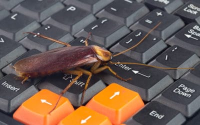 The Importance of Commercial Pest Control