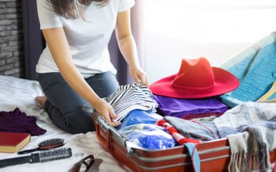 Prevent Bed Bugs this Holiday Season