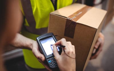 How to Deal with a Pest Delivery at Your Business