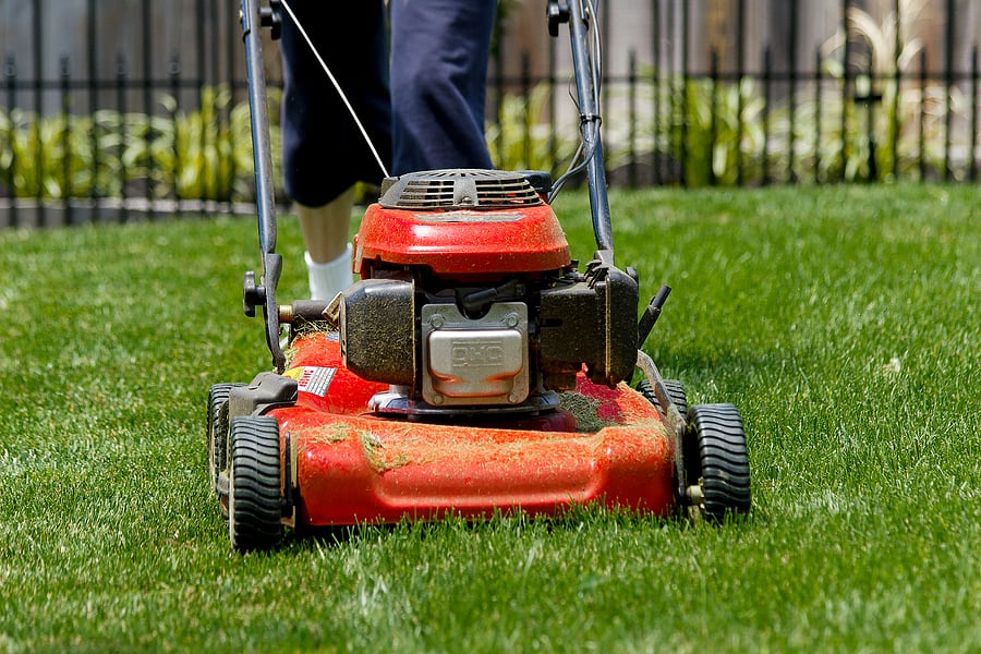 Spring lawn care