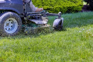 Spring lawn care