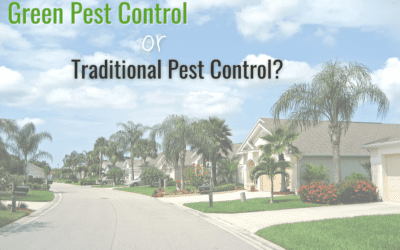 Green Pest Control VS Traditional Pest Control