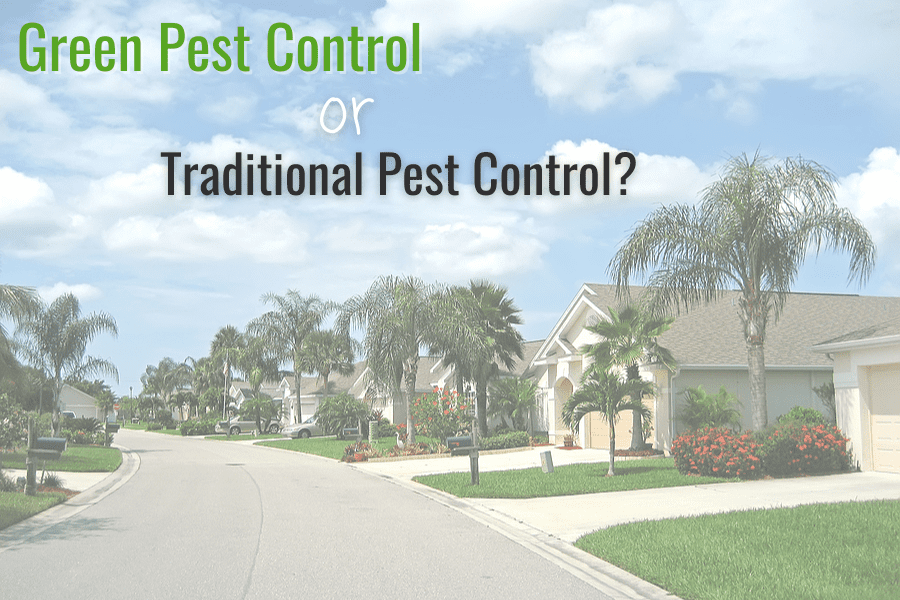 Green Pest Control VS Traditional Pest Control