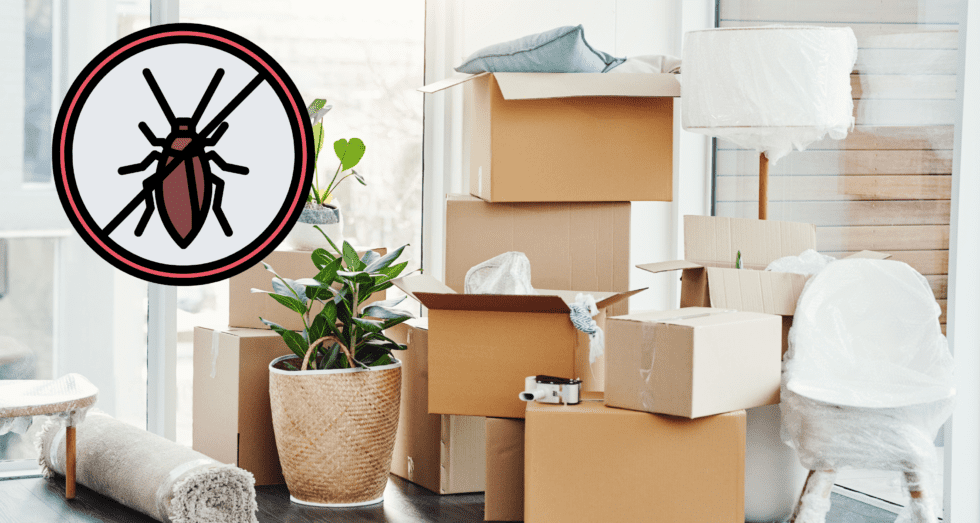 pest control | Northwest Exterminating