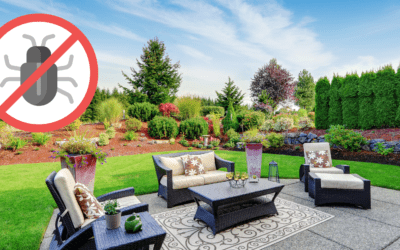 Enjoy a Pest-Free Patio This Summer