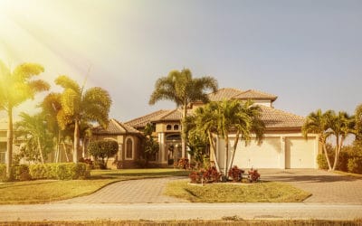 5 Signs You Need to Invest in Florida Pest Control