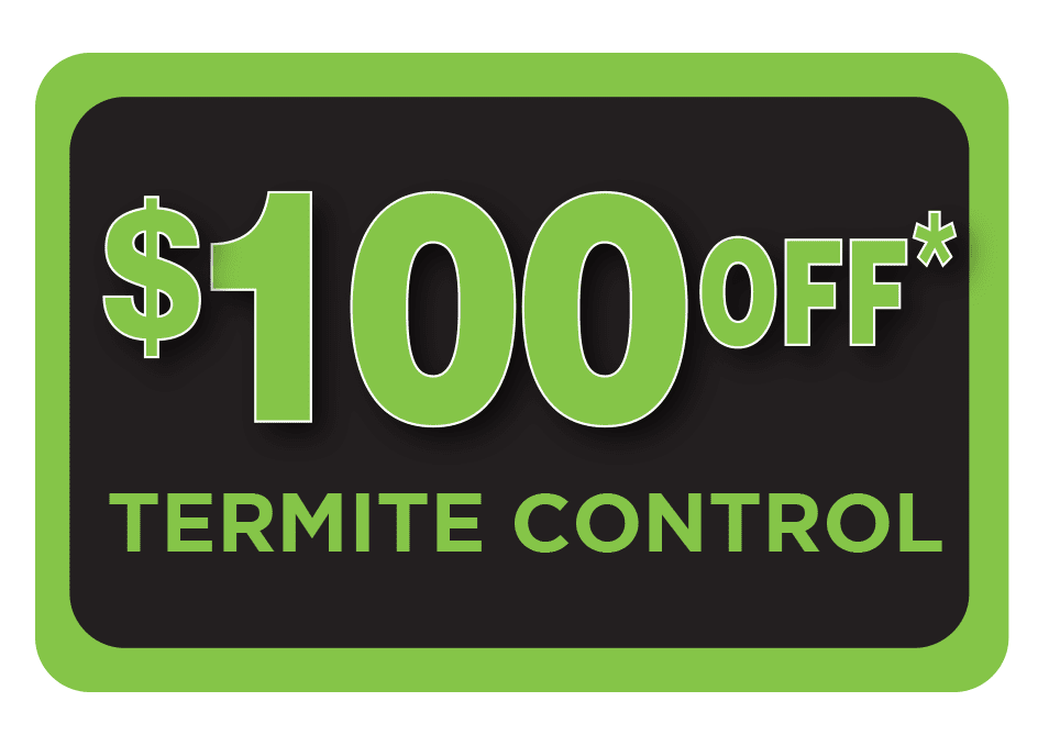 SFL 100 off termite coupon $100 off Termite Control