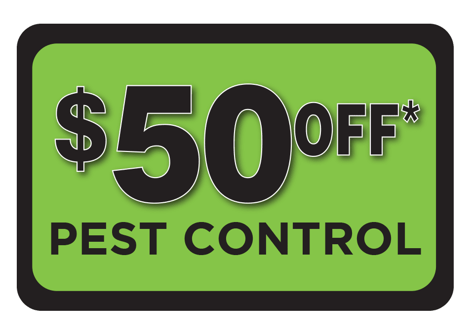 SFL 50 off pest coupon $50 off Pest Control