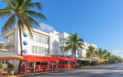 3 Reasons Why Business Owners Need Pest Control in Miami Gardens