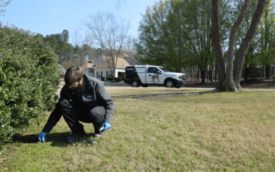 Benefits to Winter Pest Control