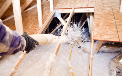 The Effects of Wildlife Activity on Your Attic’s Insulation