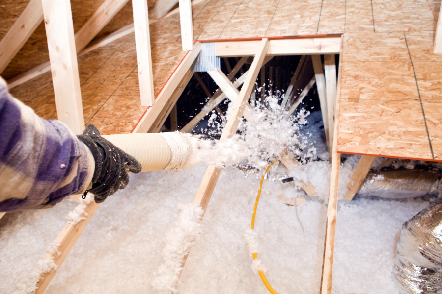 The Effects of Wildlife Activity on Your Attic’s Insulation