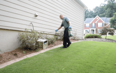 Benefits of Investing in Pest Control for the New Year