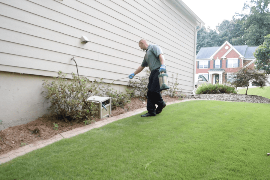 Benefits of Investing in Pest Control for the New Year