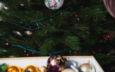 How to Keep Pests Away from Your Stored Holiday Decorations