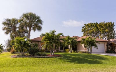 3 Lawn Issues After Excessive Rain