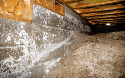 Augusta Crawl Space Care