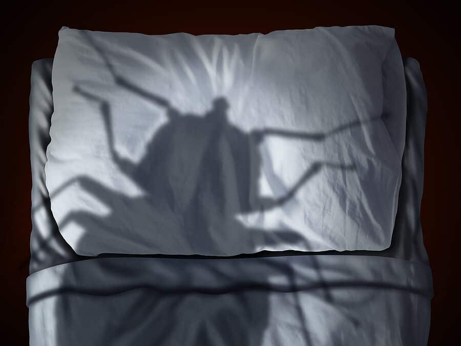 Bed Bug Prevention in Macon, GA