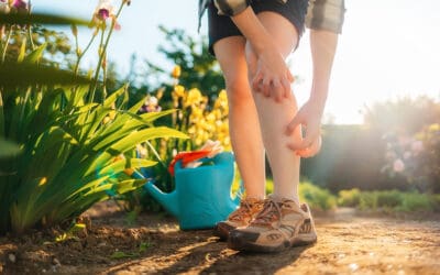 5 Ways to Prepare for Mosquito Season in Alabama