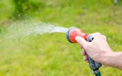 Lawn Care Tips for Orangetree, FL Residents