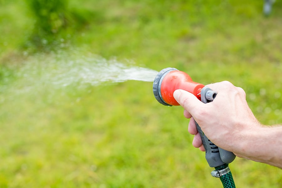 Lawn Care Tips for Orangetree, FL Residents