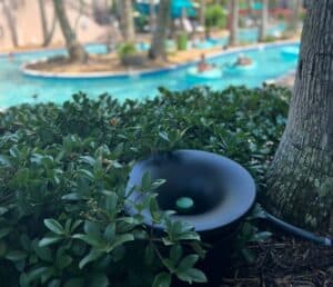 mosquito control