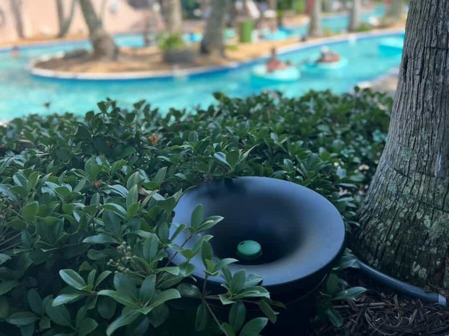 A No Spray Mosquito Control Way for Your Florida Business