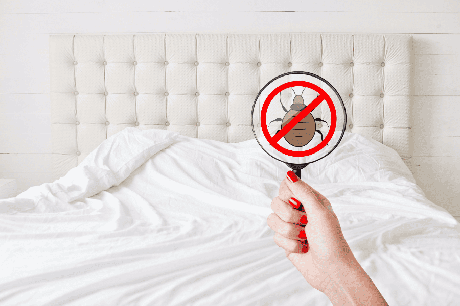 Avoiding  Bed Bugs After Traveling in South Florida