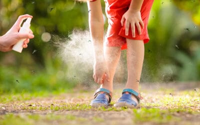 Insect Repellent: DEET vs Picaridin