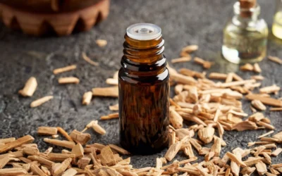 Natural Spider Repellent — Safe & Effective Ways to Keep Spiders Away