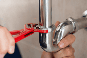 DIY Pest Control