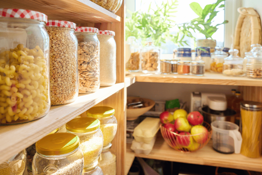 Common Pantry Pests in Your Tennessee Home