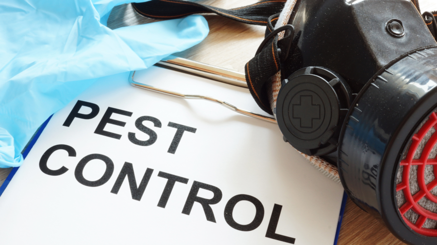 pest control near me