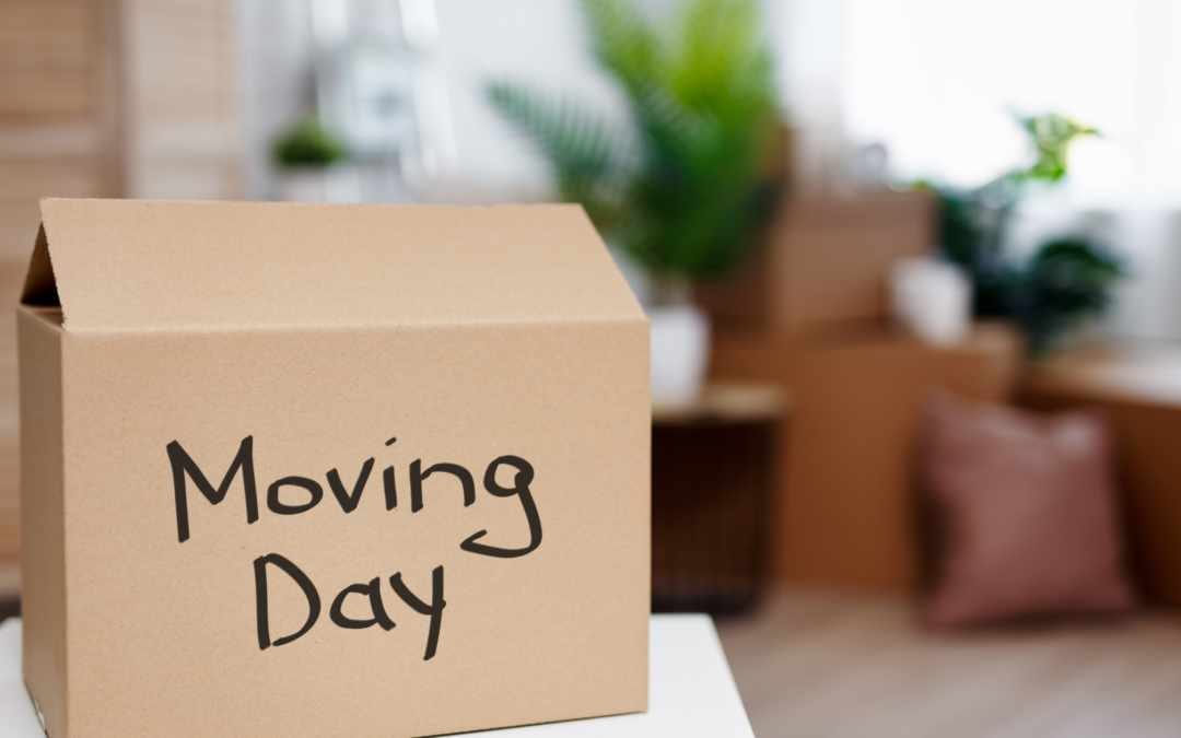 Roaches and Moving