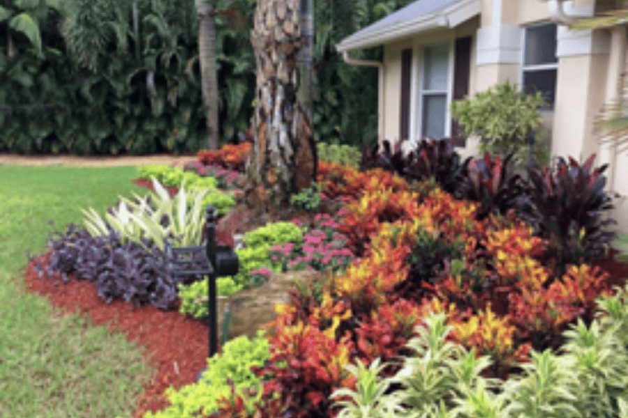 The Benefits of Green Pest Control for Your Broward Garden: Sustainable and Effective Solutions