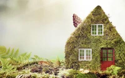 The Green Way to Create a Healthier, Sustainable Home with Eco-Friendly Solutions