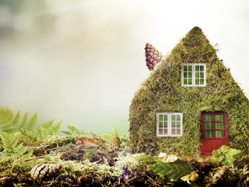 eco-friendly pest control