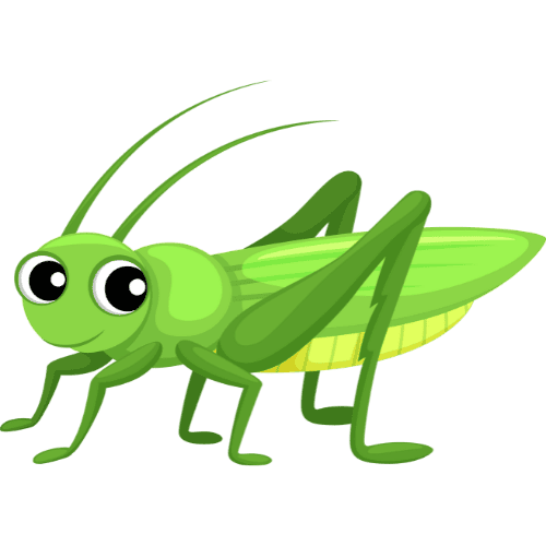 Grasshopper