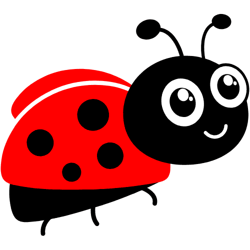 Ladybug